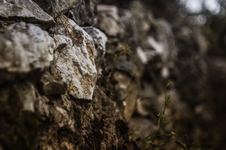 Detailed view of a textured stone wall outdoors, capturing natural patterns.