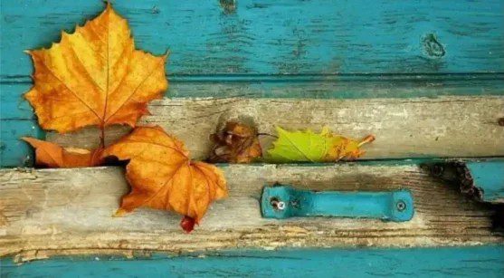 Meditation the wisdom of colors