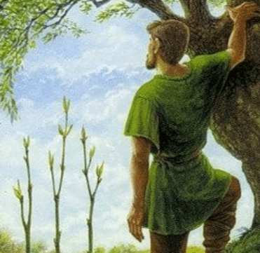 ако искаш да продължиш, спираш да се съмняваш