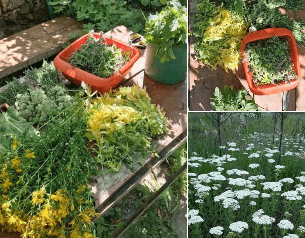 КаКВО си набрах днес..